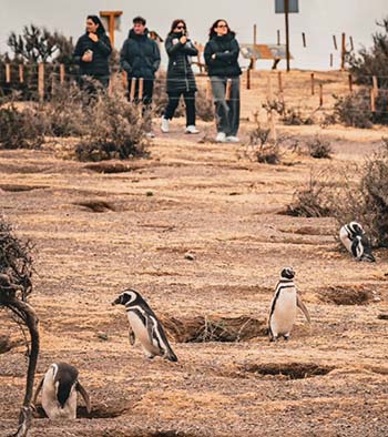 Tu pasaje a la Aventura