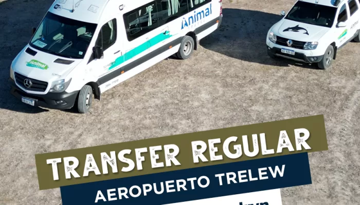 Transfer Regular: Aeropuerto Trelew / Puerto Madryn