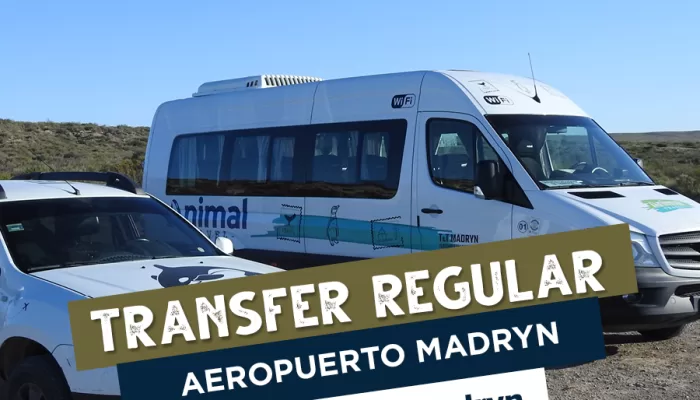 Transfer Regular: Aeropuerto Madryn / Puerto Madryn