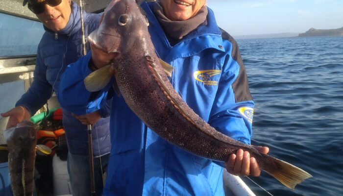 Pesca Embarcado