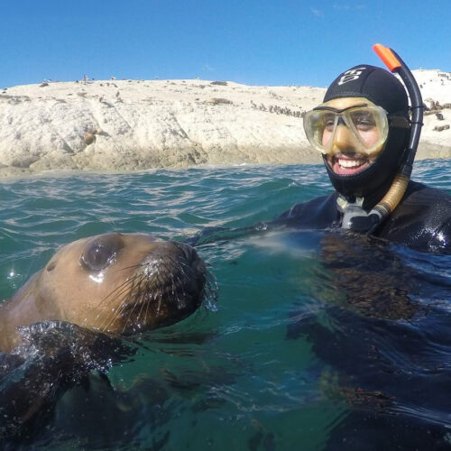 Snorkeling con lobos marinos