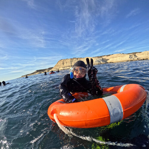 Snorkeling con lobos marinos - Image 4