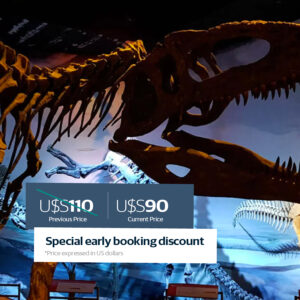 Valle inferior (Trelew, Gaiman)