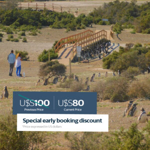 Punta Tombo LOW COST. Shore tours (BUS)