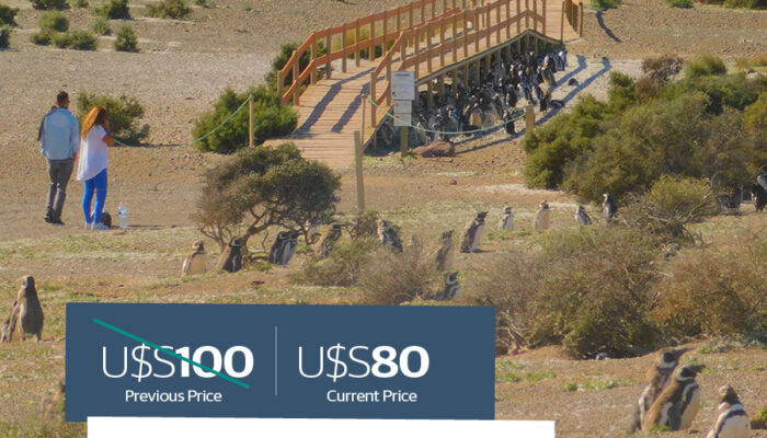 Punta Tombo LOW COST. Shore tours (BUS)