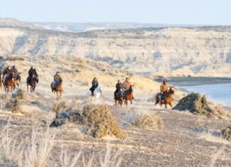Cabalgatas en Puerto Piramides