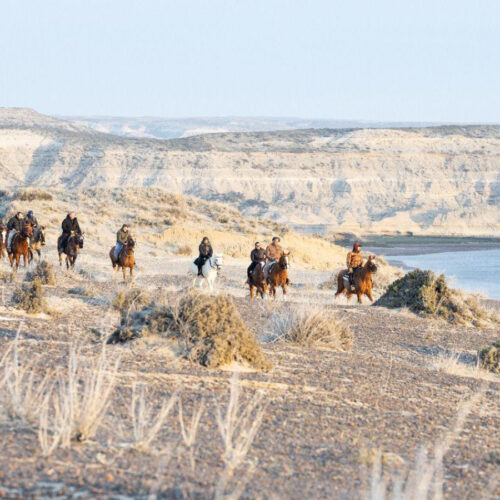 Cabalgatas en Puerto Piramides