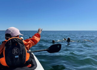 Kayak con lobos