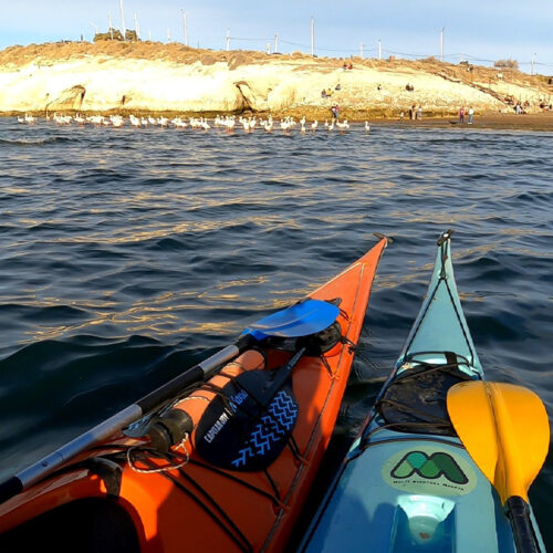 Kayak histórico - Image 7
