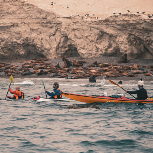 Kayak con lobos
