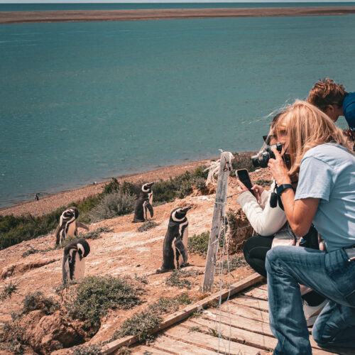 Aventura Valdés: Fotografía de Naturaleza - Image 7