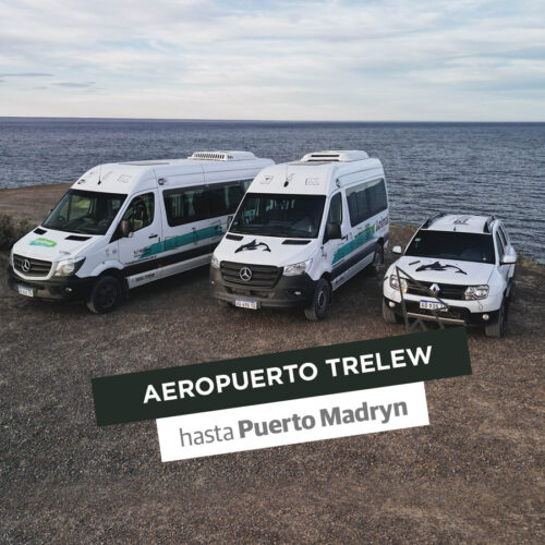 Transfer Regular: Aeropuerto Trelew / Puerto Madryn