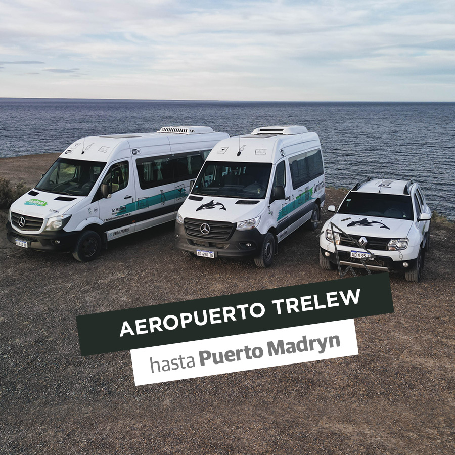 Transfer Regular: Aeropuerto Trelew / Puerto Madryn