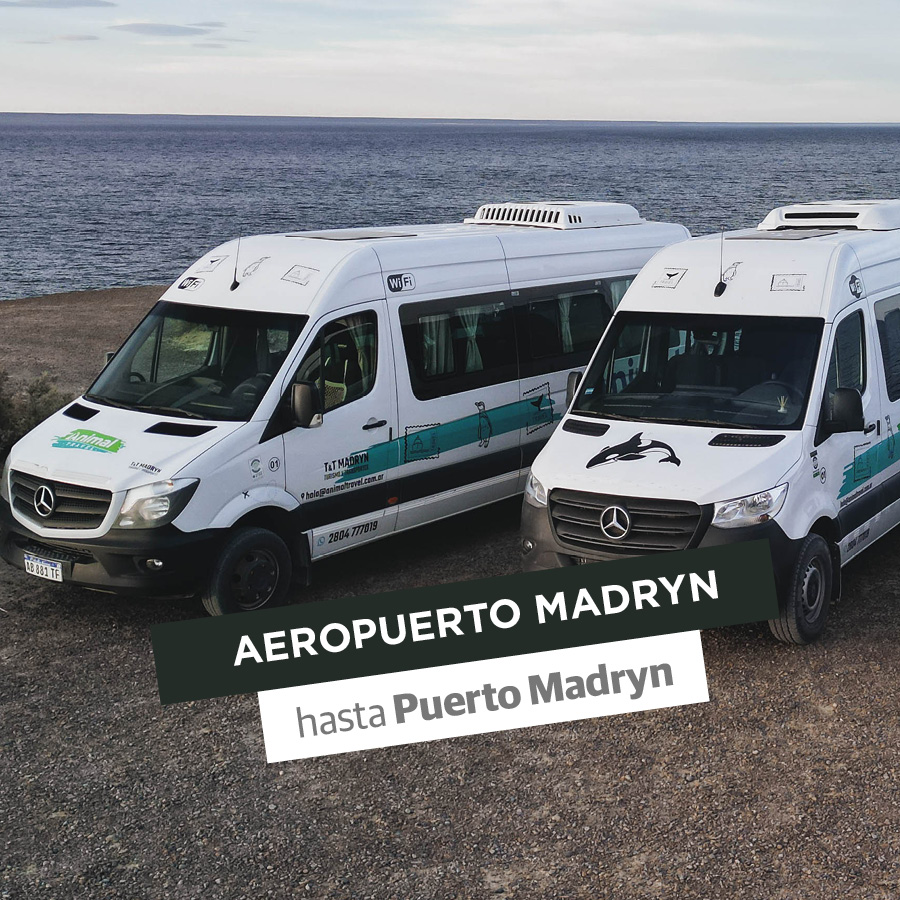 Transfer Regular: Aeropuerto Madryn / Puerto Madryn