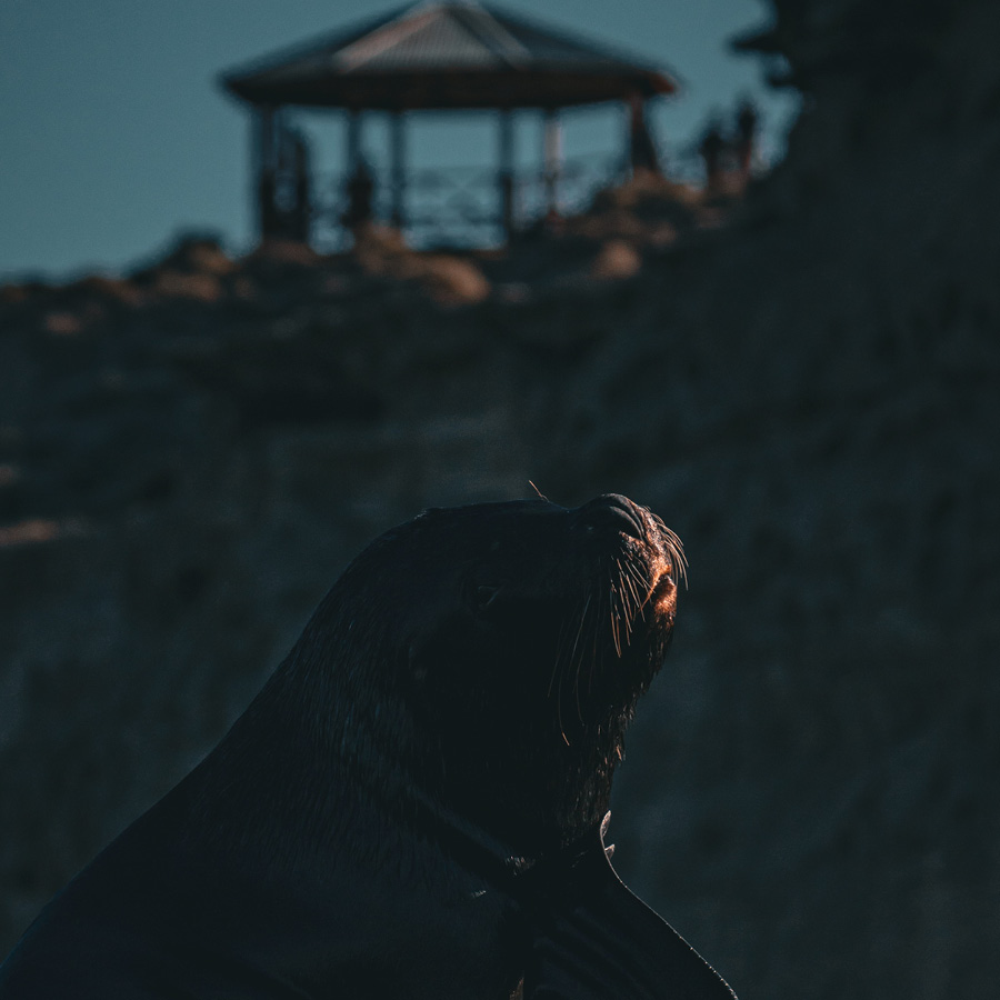 Península LOW COST - Image 8