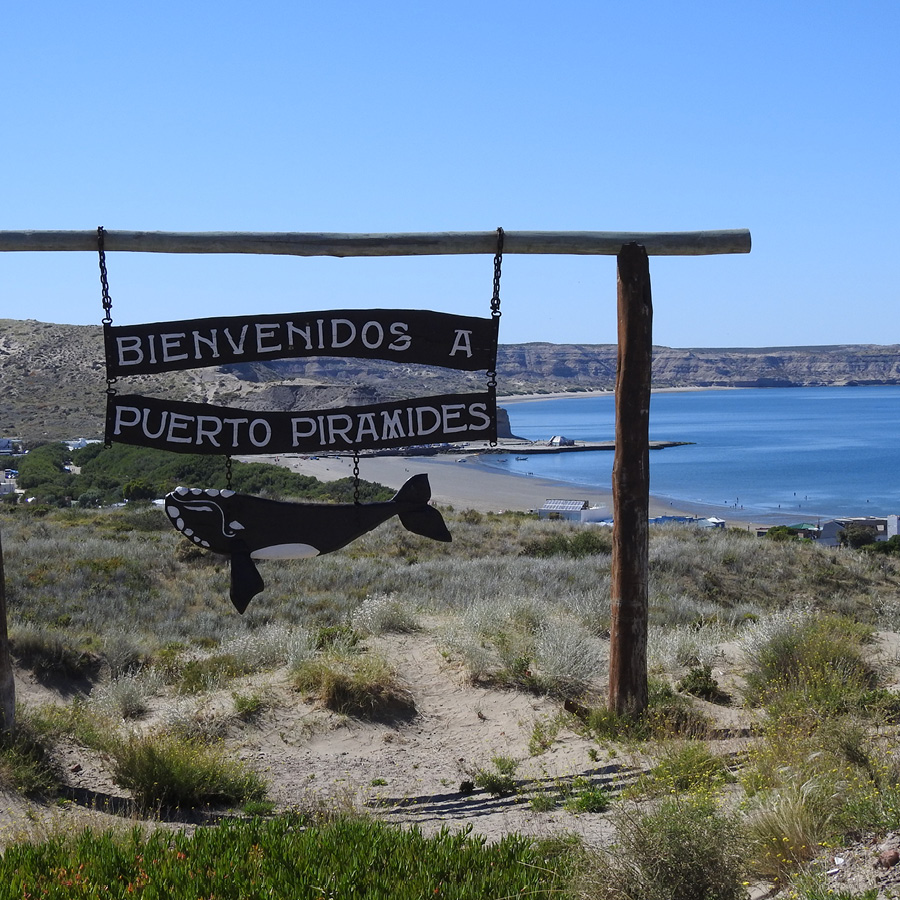 Península LOW COST - Image 7