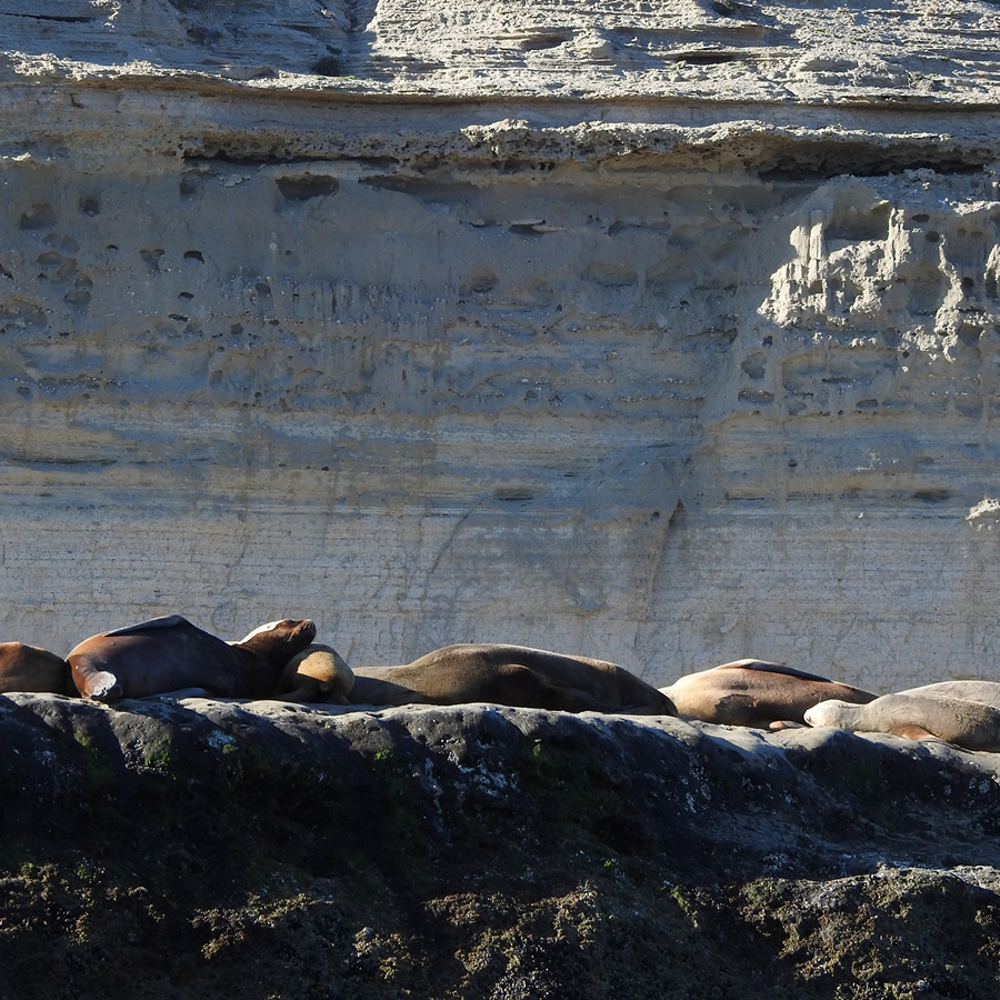 Península LOW COST - Image 4