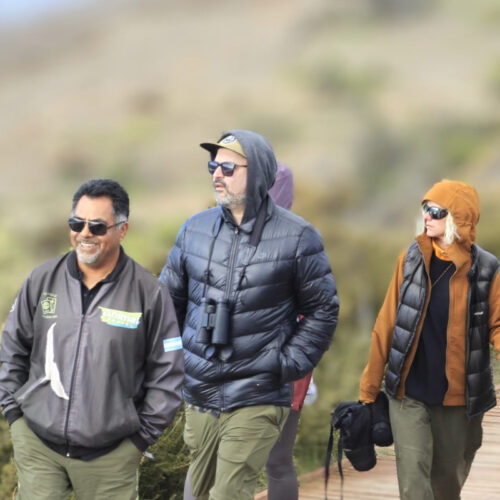 Paquete 2: Expedición Península Valdés & Tombo con traslados y excursiones